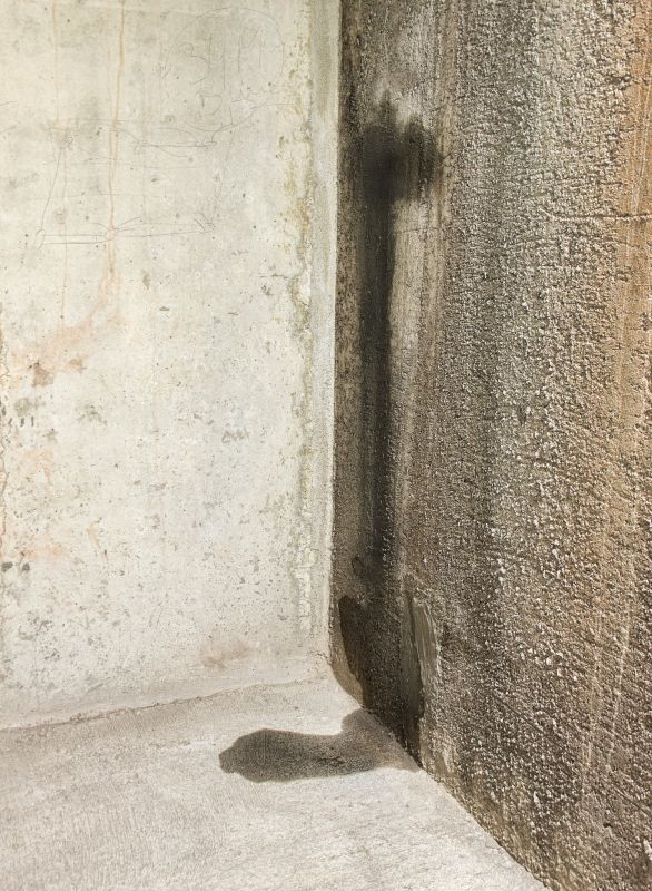 Wet Basement Repair in Birmingham, AL