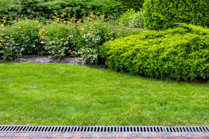Wet Yard Drainage in Birmingham, AL