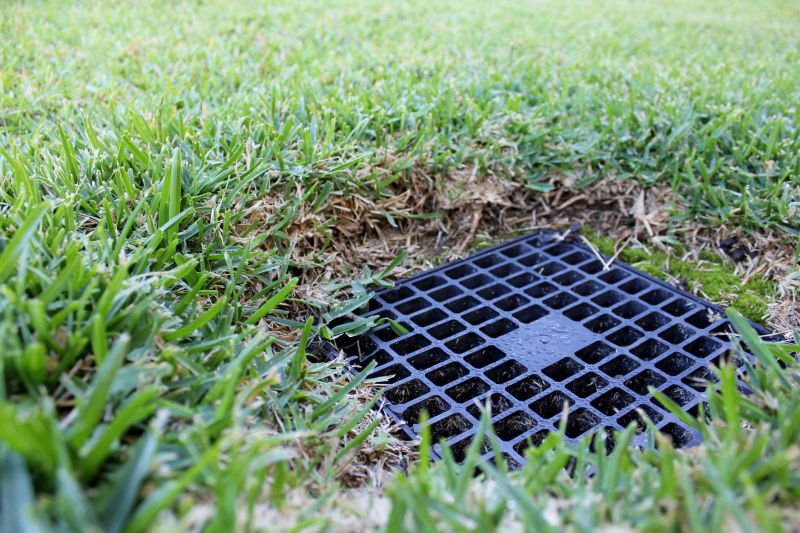 Wet Yard Drainage in Tuscaloosa, AL